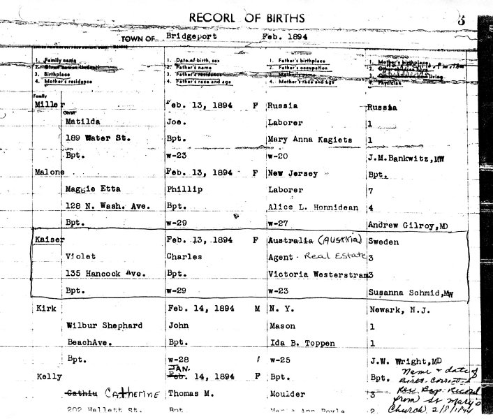 z_kaiserpapers007.jpg - 1894 birth record for Violet Kaiser