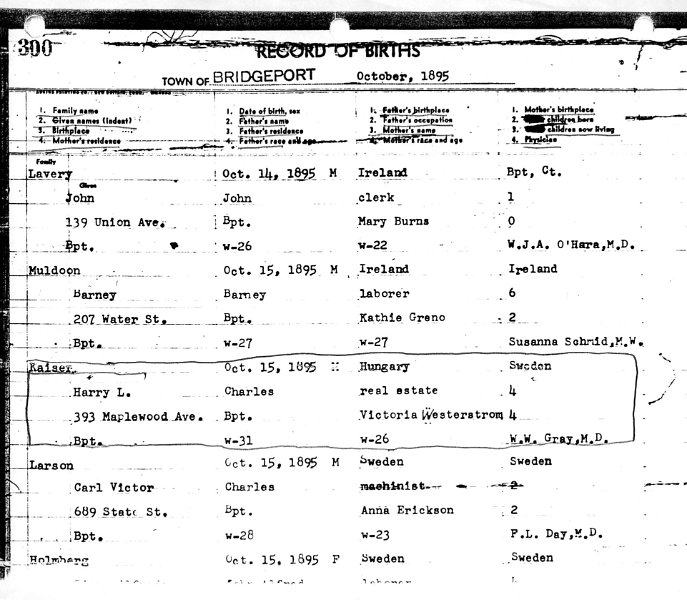 z_kaiserpapers008.jpg - 1895 birth record of Harry L Kaiser