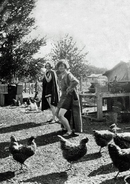 1917BobbyTootsChickens.jpg - Laura, Ruth, chickens 1918