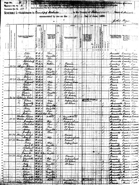 1880MNcencus.jpg - 1880 Rockville Township, Stearns County, MN census listing John and Lelena (Magdalena) family as well as Lelena (Magdalena) Haller.