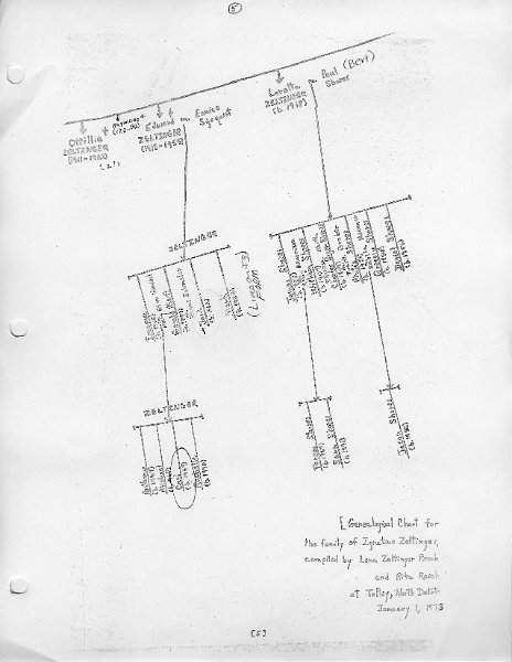 zeltinger105.jpg - Zeltinger family tree pg 5 of 5