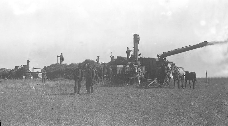 zeltinger003.jpg - Glass plate negative of Tolley, ND havest; from Mathias Zeltinger estate.