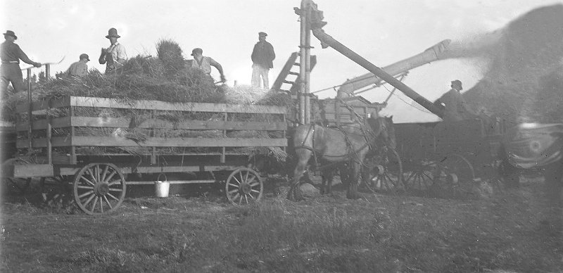 zeltinger006.jpg - Glass plate negative of Tolley, ND havest; from Mathias Zeltinger estate.