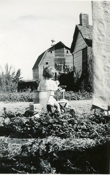 zeltinger069.jpg - Katherine Maloney "Talking to the Horses at the water tank - on that washday in Sept." on the Katie and Ignatius Zeltinger farm near Tolley, ND.