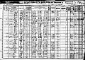 1910_census